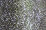 High Marishes fibreglass roof work